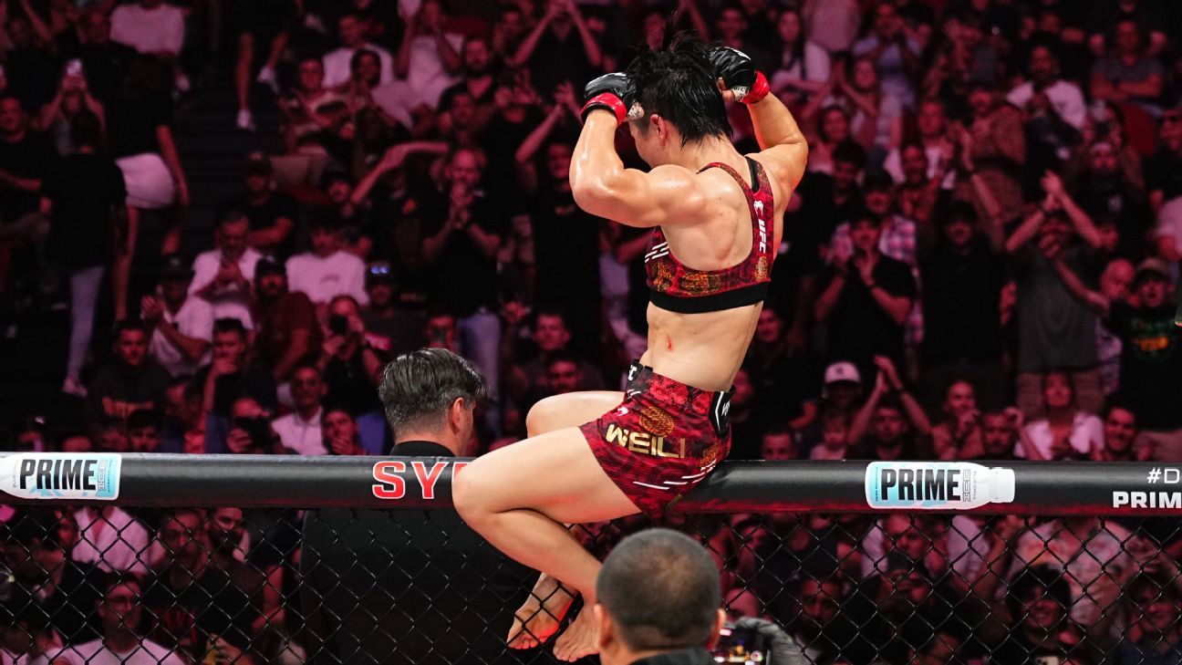 好地理解马 好地理解马