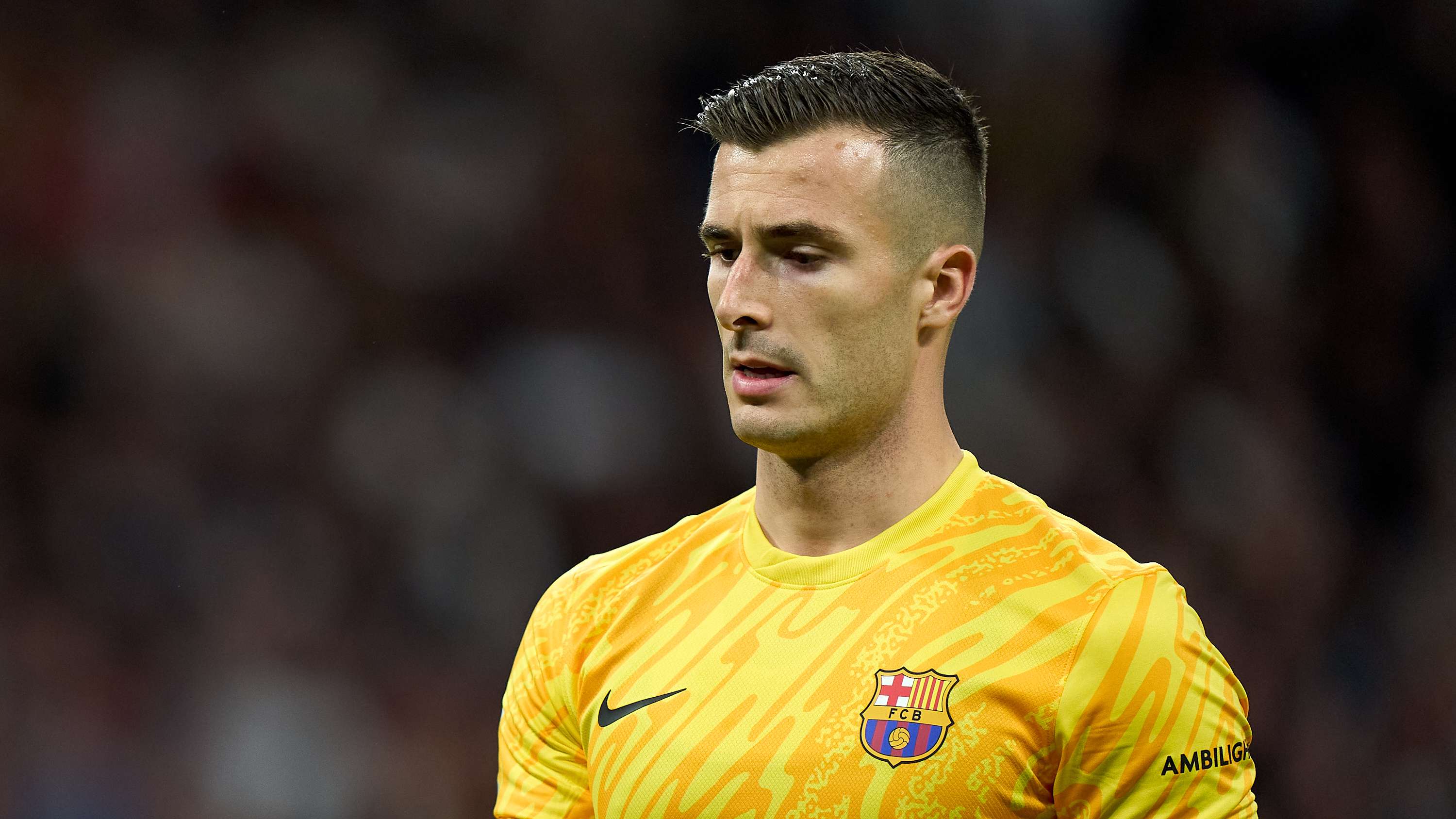 武切维奇 武切维奇